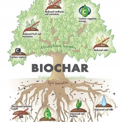 Bio Kömür 20 kg Bio Kömür 20 kg