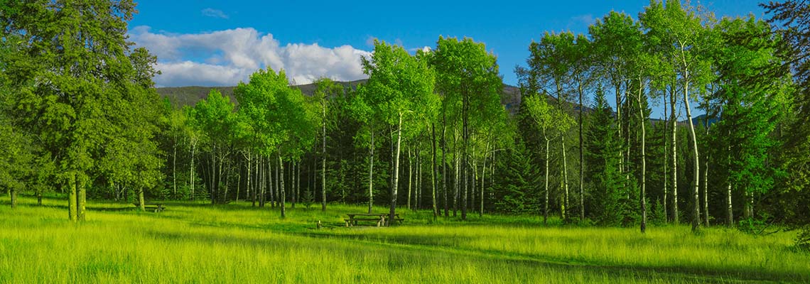 Bursa Piknik ve Mangal Yeri Tavsiyeleri