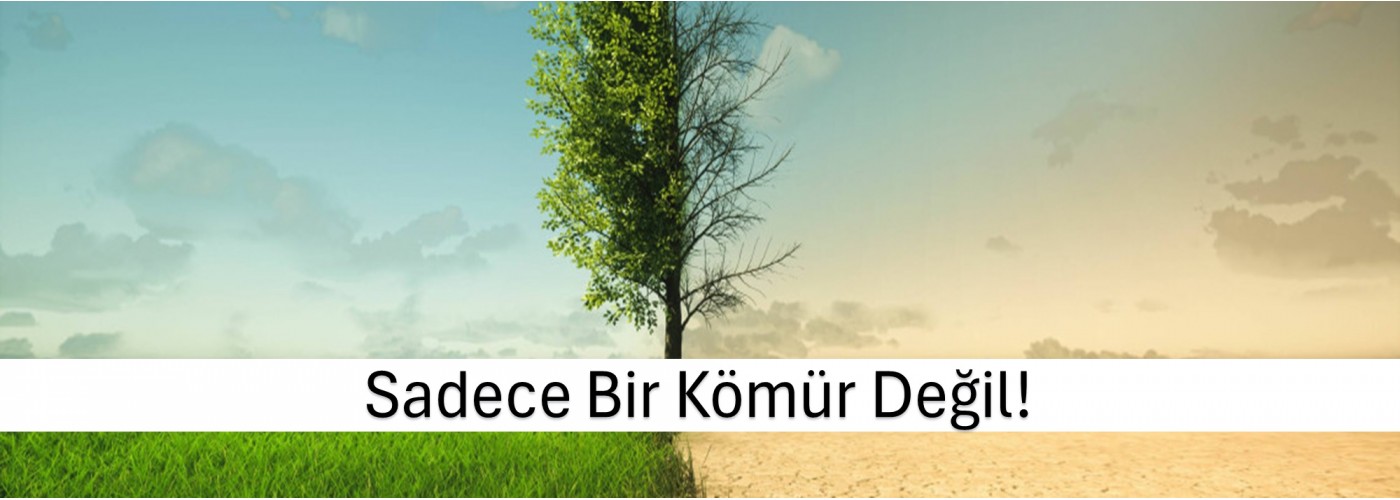 Detaylar İçin Tıklayınız